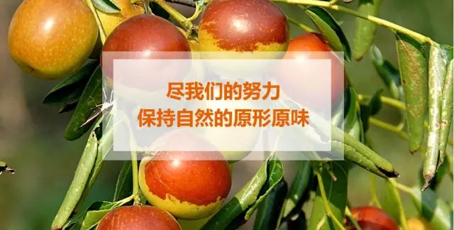 水果奶奶心第二论坛，欢迎阁下光临的温馨家园