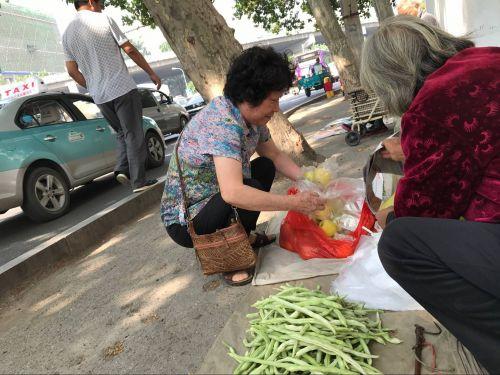 水果奶奶论坛，共享健康与快乐的绿色园地