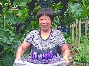 水果奶奶的抖音奇缘，甜蜜生活的新篇章