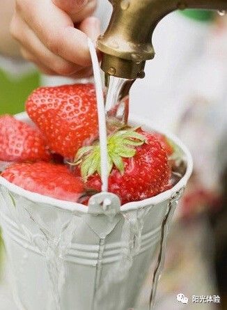 奶奶专栏 第413页