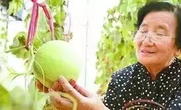 台湾水果奶奶的甜蜜传奇，一抹不可复制的地道风情