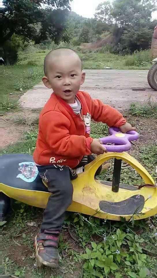 水果奶奶的奇妙视频，解锁健康饮食的小秘密