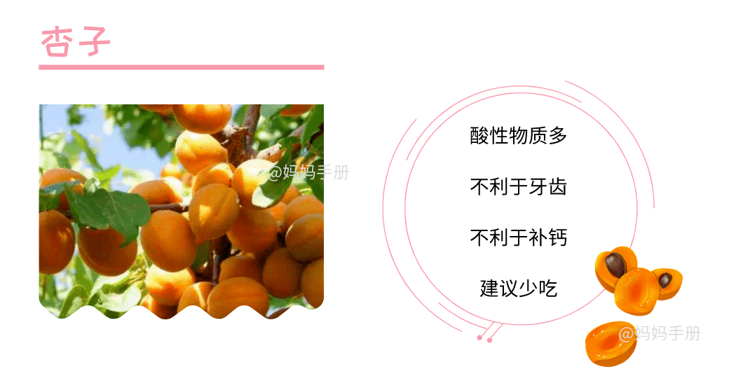 水果奶奶的主抎秘籍，用爱与智慧编织的季节之果