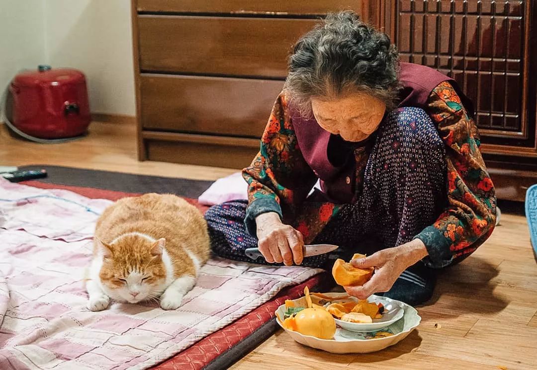 水果奶奶，健康与美味的守护者