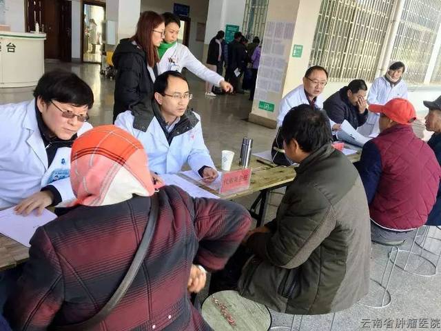 水果奶奶的最新消息，从田间到餐桌，传递健康与爱的接力