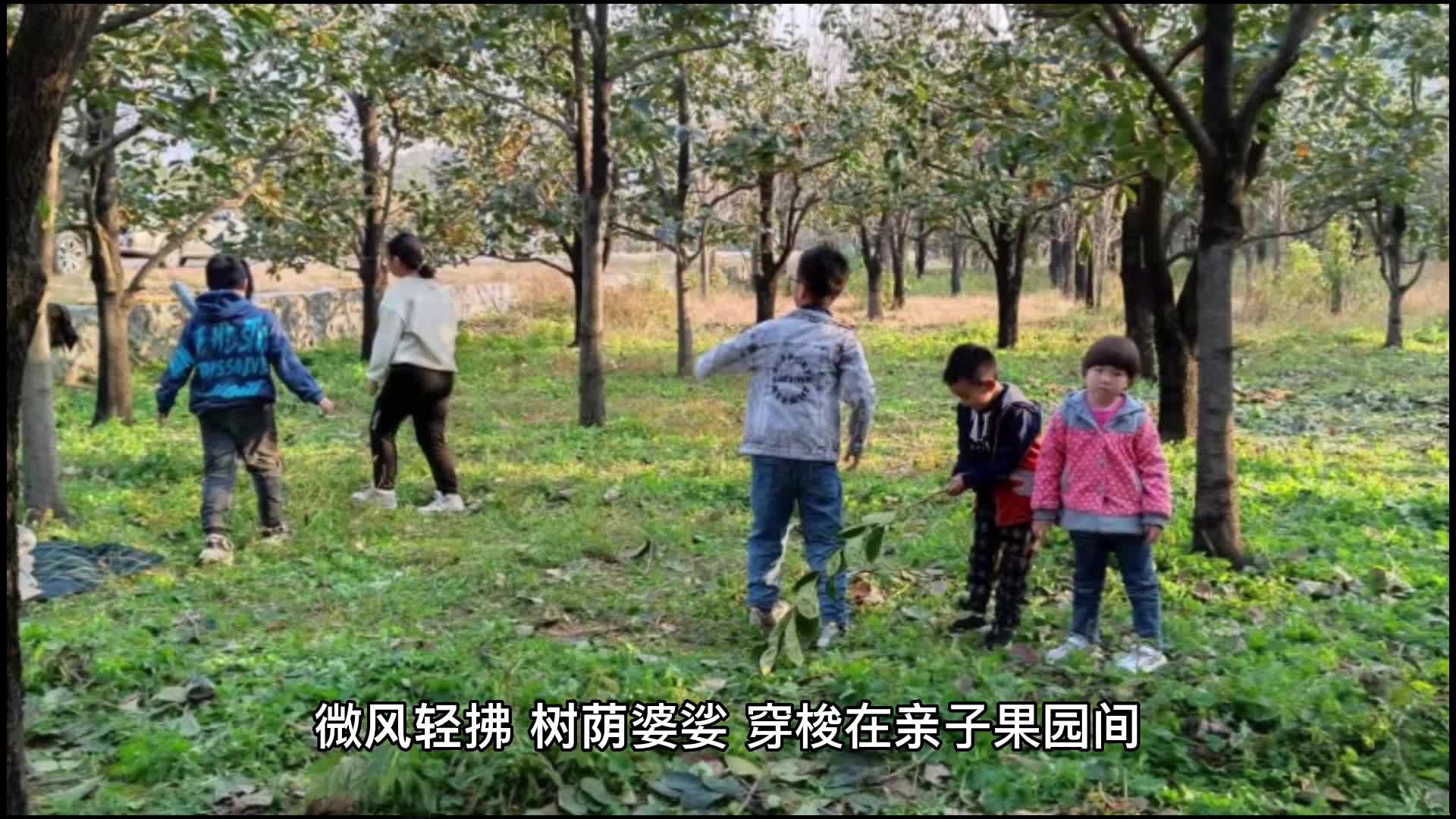 水果奶奶的21世纪果园与健康生活新风尚