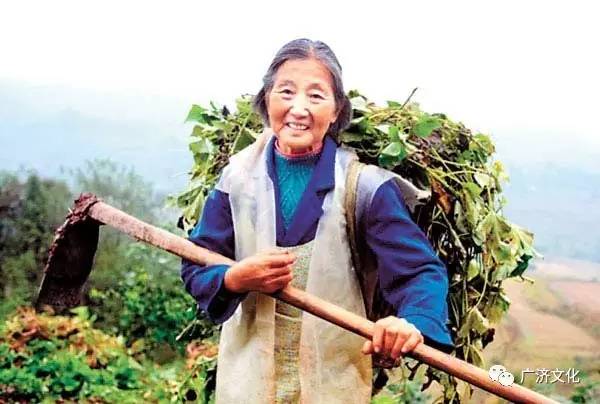 澳彩水果奶奶，一位传奇的果农与她的故事