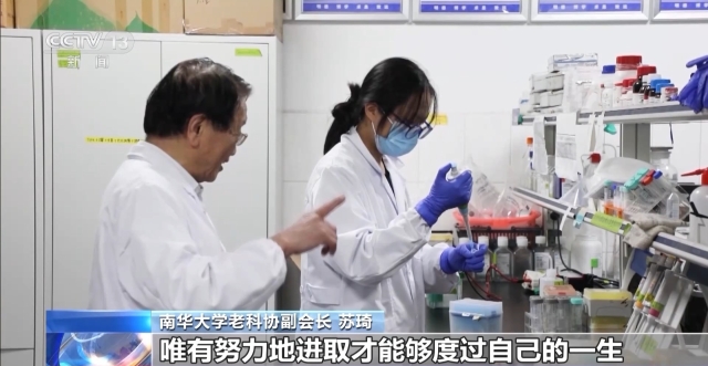 澳门水果奶奶35,067元最新价格，揭秘背后的故事与市场动态