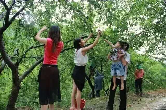 水果奶奶心第二论坛，欢迎阁下光临的温馨家园