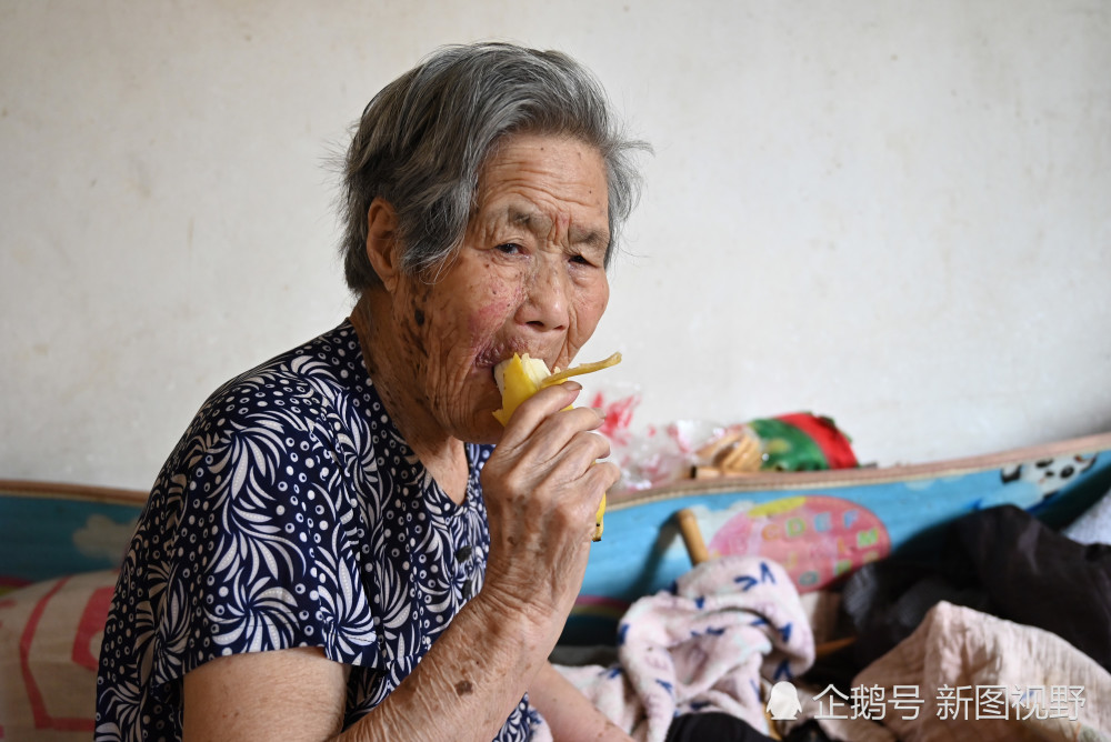 831294，水果奶奶手机论坛的温馨与智慧