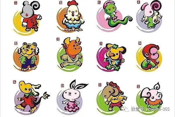 台湾水果奶奶与十二生肖的奇妙故事