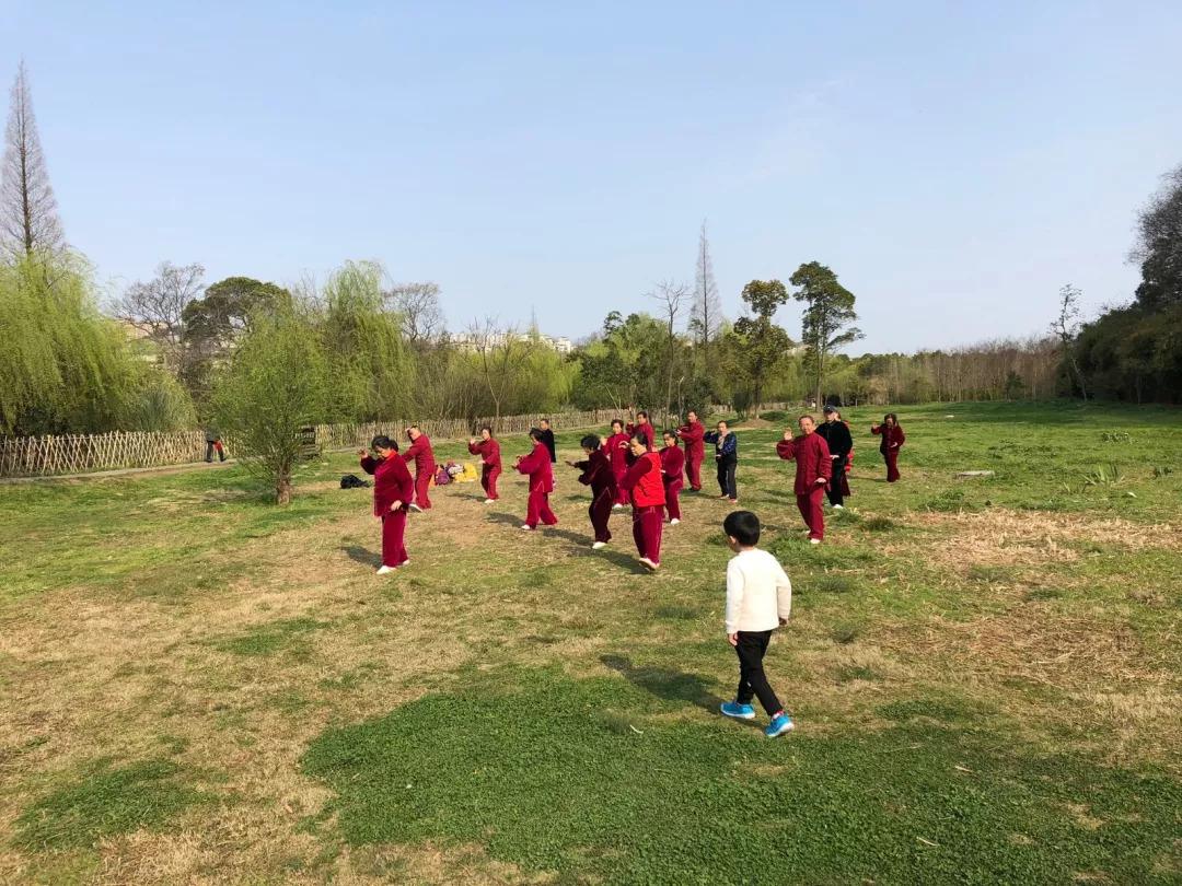 台湾水果奶奶，唱响甜蜜旋律的果香主题曲视频