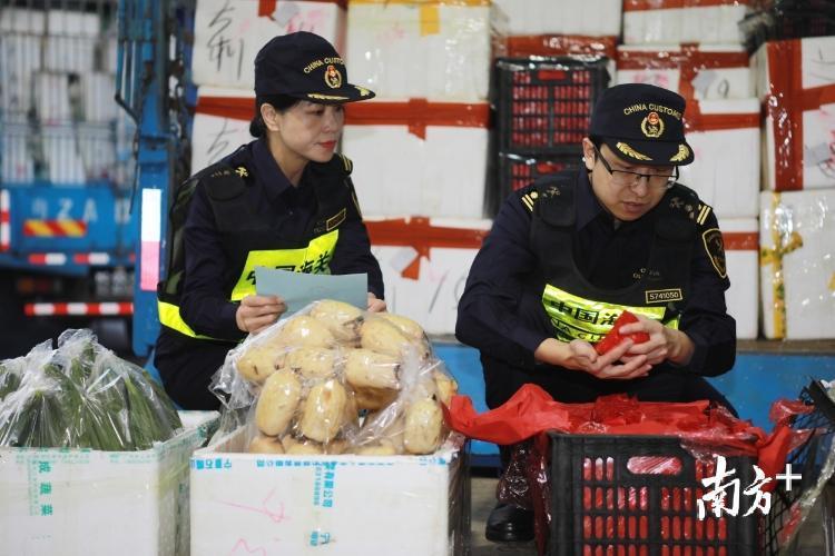 澳门水果奶奶，传承与创新的甜蜜记忆