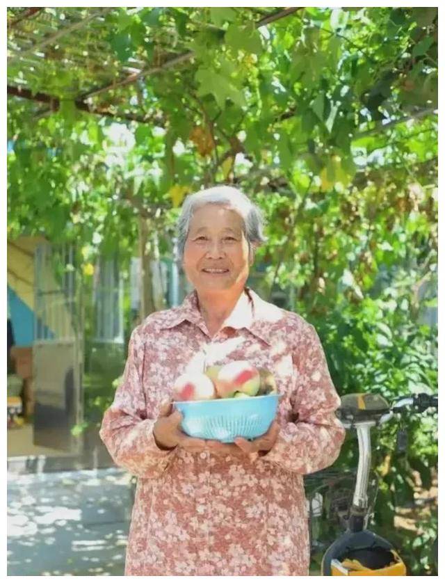 水果奶奶的免费资料库，4637个秘密与惊喜