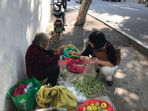 水果奶奶，免费下载的官方资源库