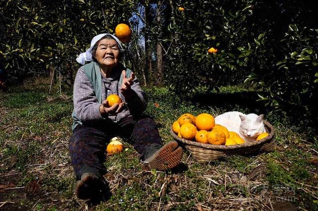 水果奶奶，荧幕上的温馨记忆，现实中的温暖离别