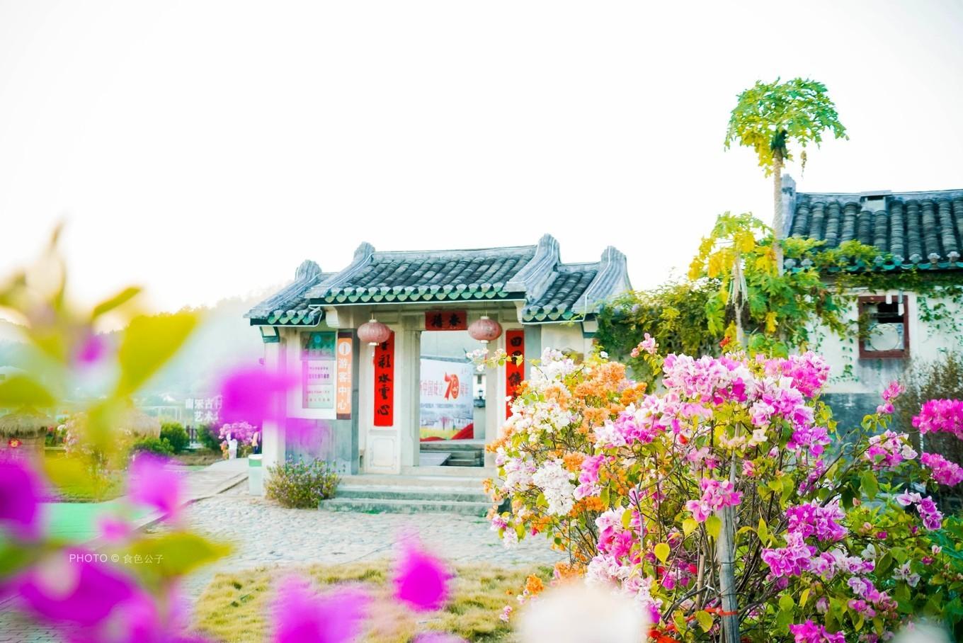 水果奶奶9876543210，新时代的果蔬传奇