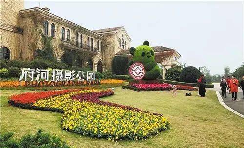 水果奶奶的免费诚信站，温暖人心的社区一隅