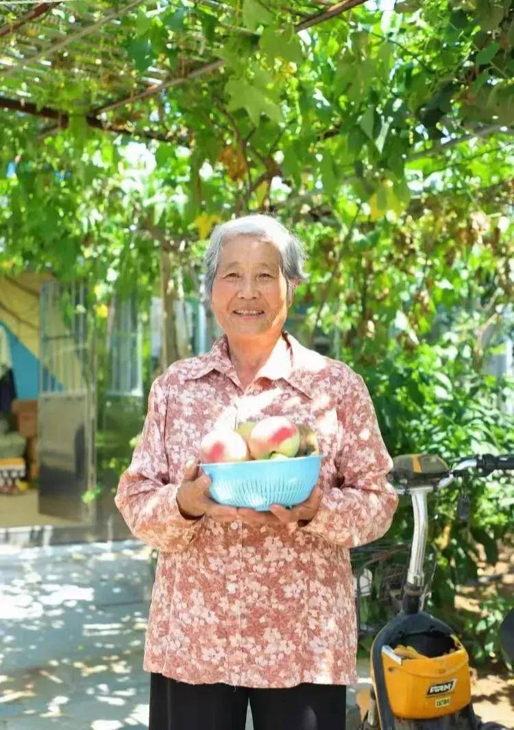 澳彩水果奶奶，一位传奇的果农与她的多彩人生