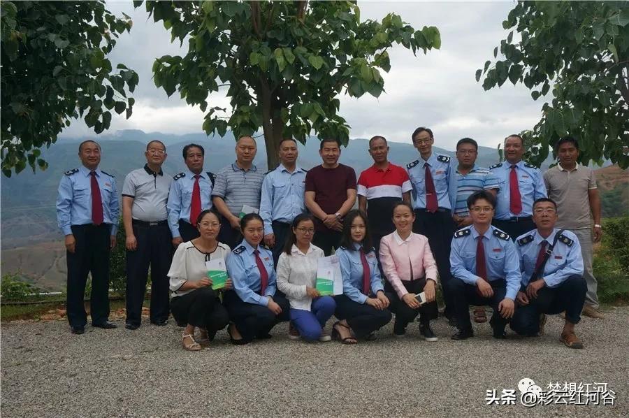 2046年，水果奶奶的绿色奇迹——最新消息揭秘