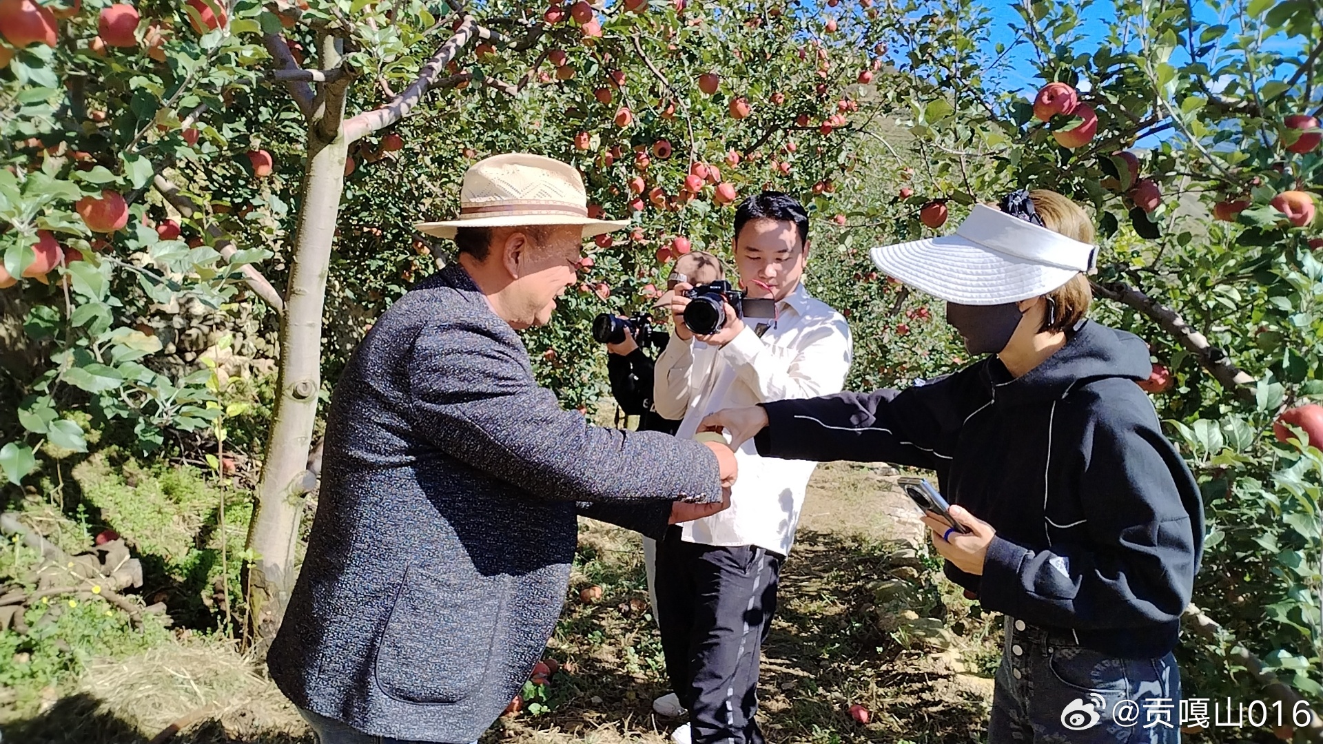 探索水果奶奶的智慧果园，61295主论坛与高手心水第一论
