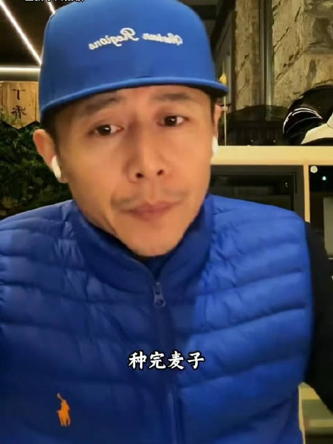 61298，探索水果奶奶主论坛的官方正版之旅