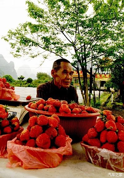 水果奶奶，高手精英论坛的甜蜜聚集地