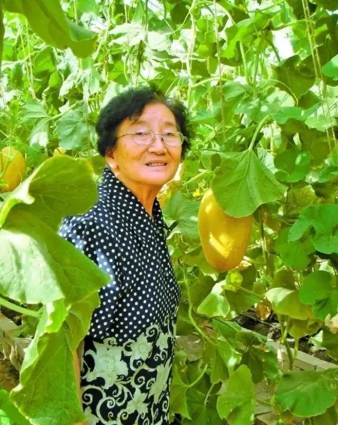 澳水果奶奶，免费资料论坛的温暖与力量