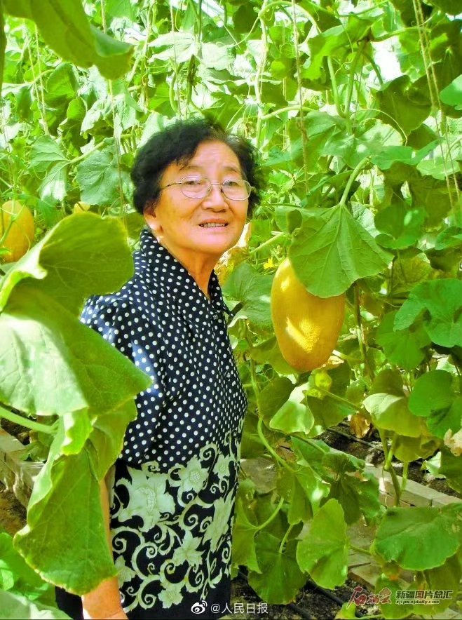 水果奶奶的心水第二生，论坛资料与最新消息揭秘