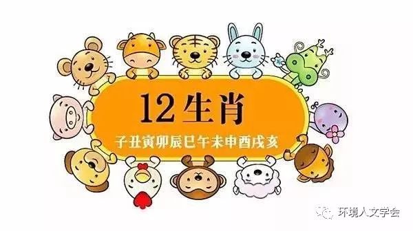 台湾水果奶奶与十二生肖的奇妙邃缘