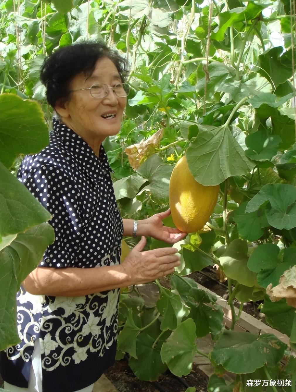 探索台湾水果奶奶的甜蜜世界，揭秘她的神秘之地