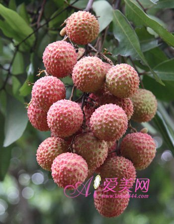 揭秘65273水果奶奶，一个网络传说的真相