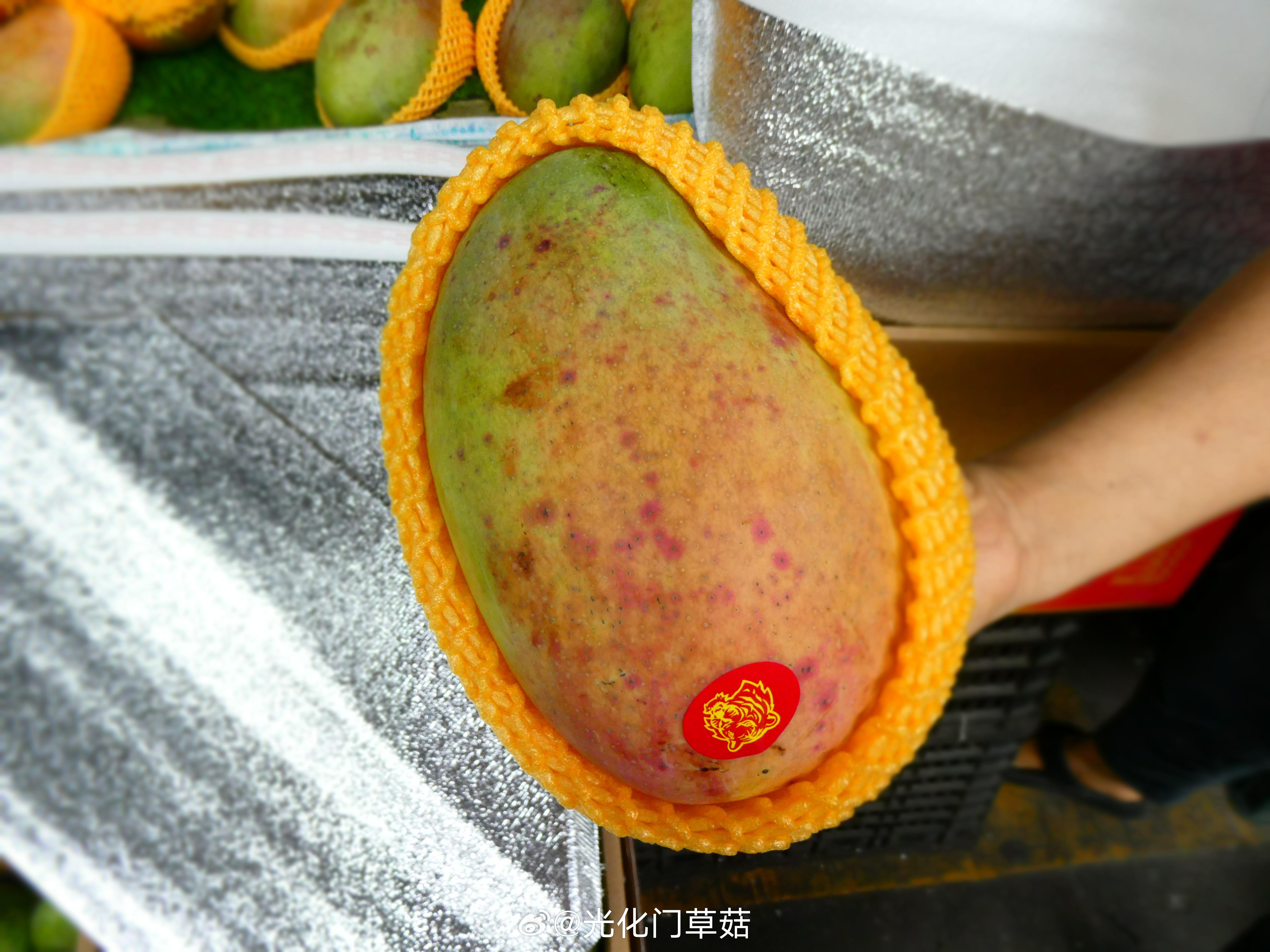 澳门水果奶奶7963，岁月的甜蜜与传承