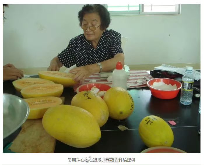 水果奶奶心水第二论坛，最新消息与新闻综述
