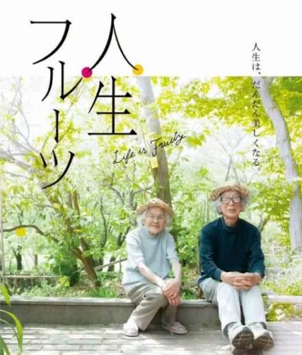 水果奶奶的甜蜜旋律，一首主题曲背后的深意与寓意