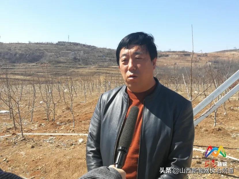 246水果奶奶，香港人的甜蜜记忆与文化传承