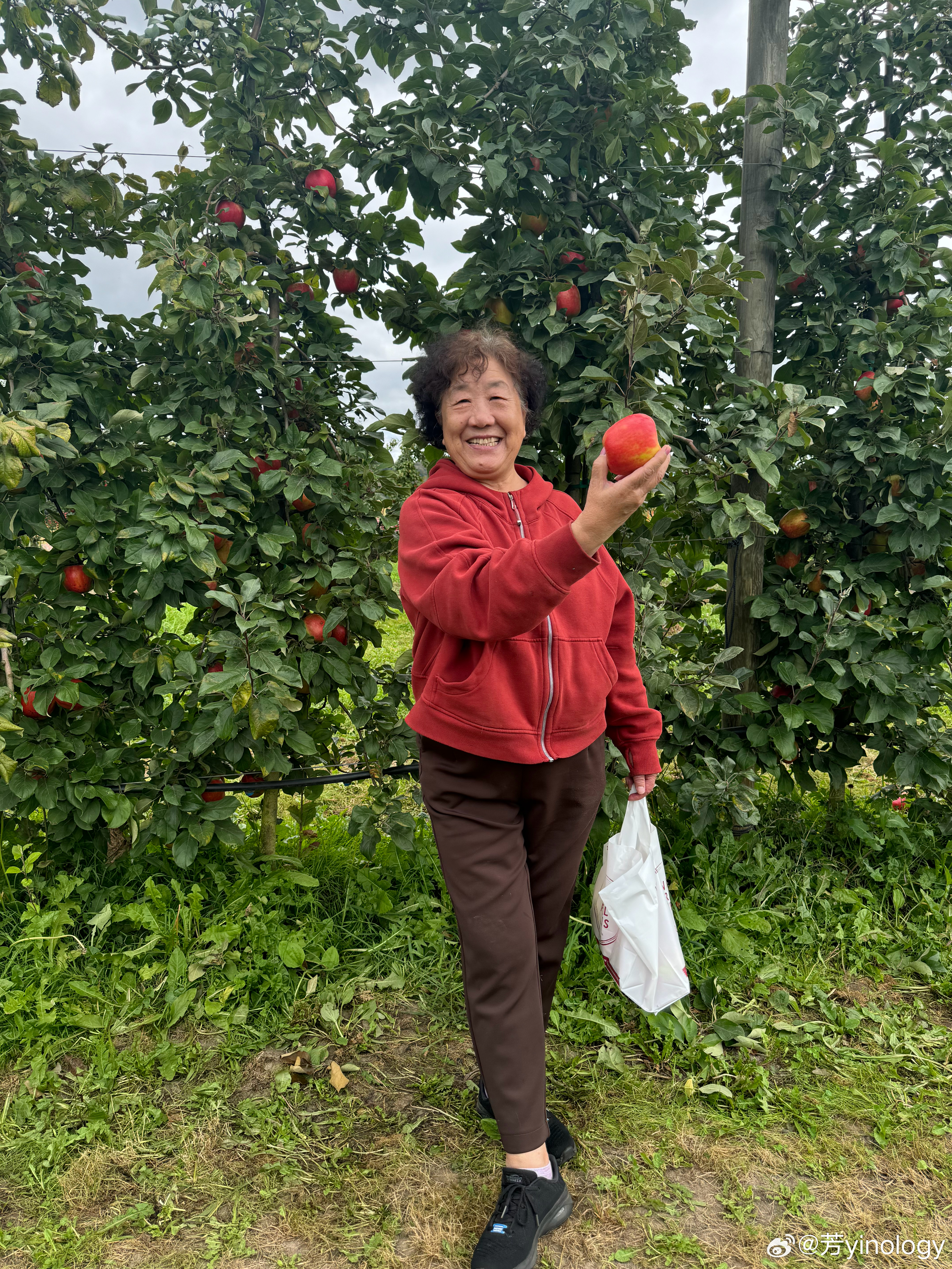 奶奶专栏 第389页