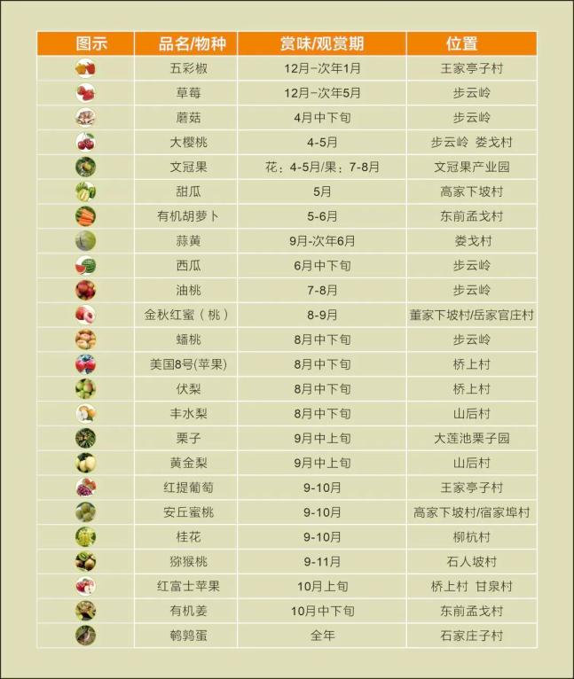水果奶奶的奇幻宝藏，揭秘藏宝图系列大全一览表