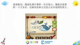 水果奶奶藏宝图，正版解析视频的奇妙之旅