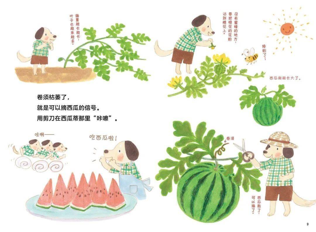 水果奶奶的玄机藏宝图，解锁自然之谜