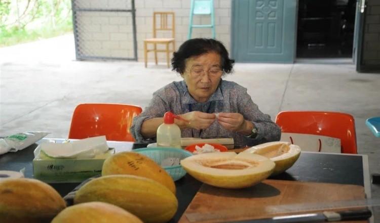 水果奶奶高手二论坛，最新消息与新闻综述