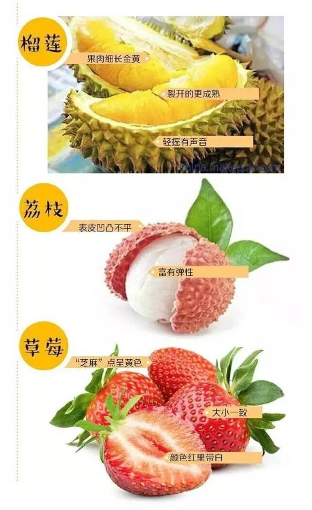 水果奶奶澳门三肖的起源与历史背景