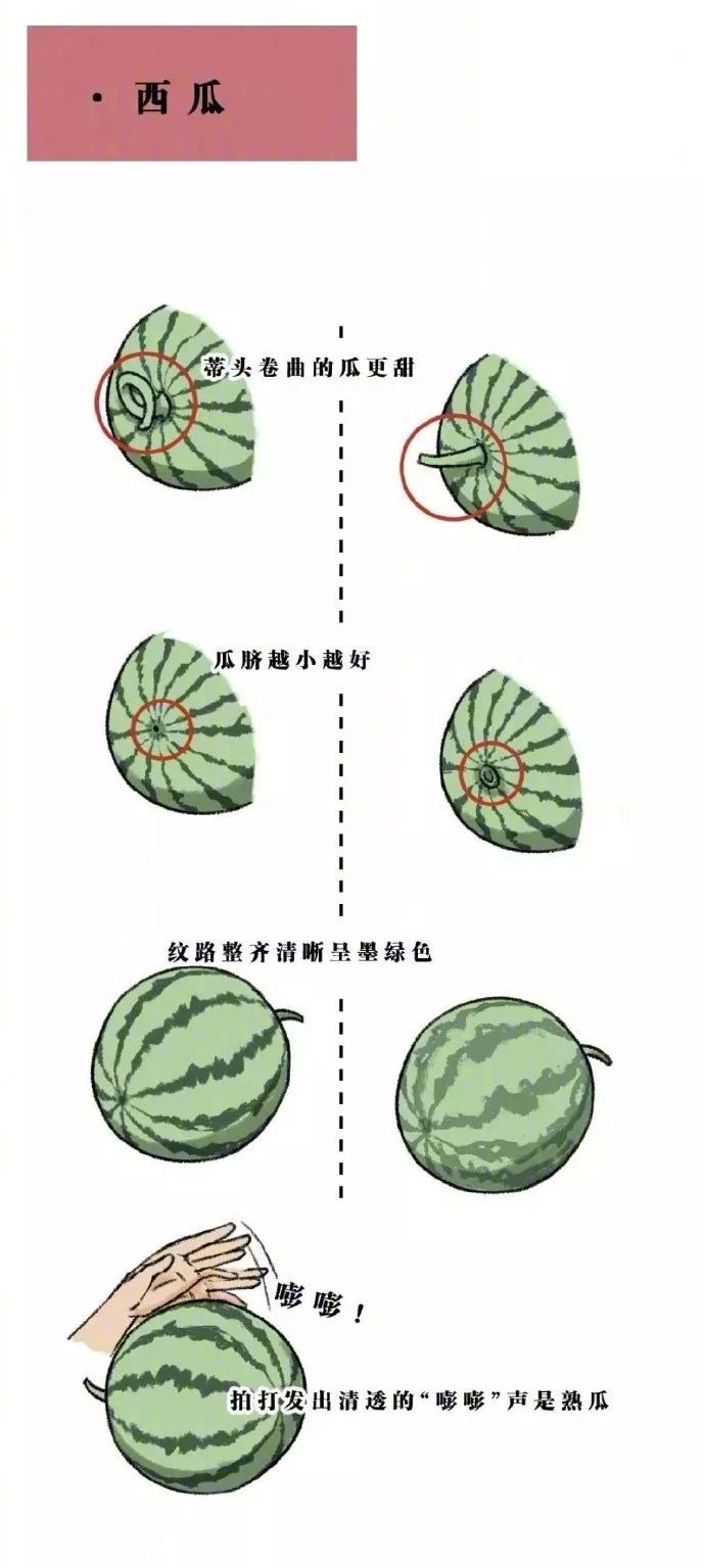 天下釆水果奶奶，免费资料大全的秘密花园
