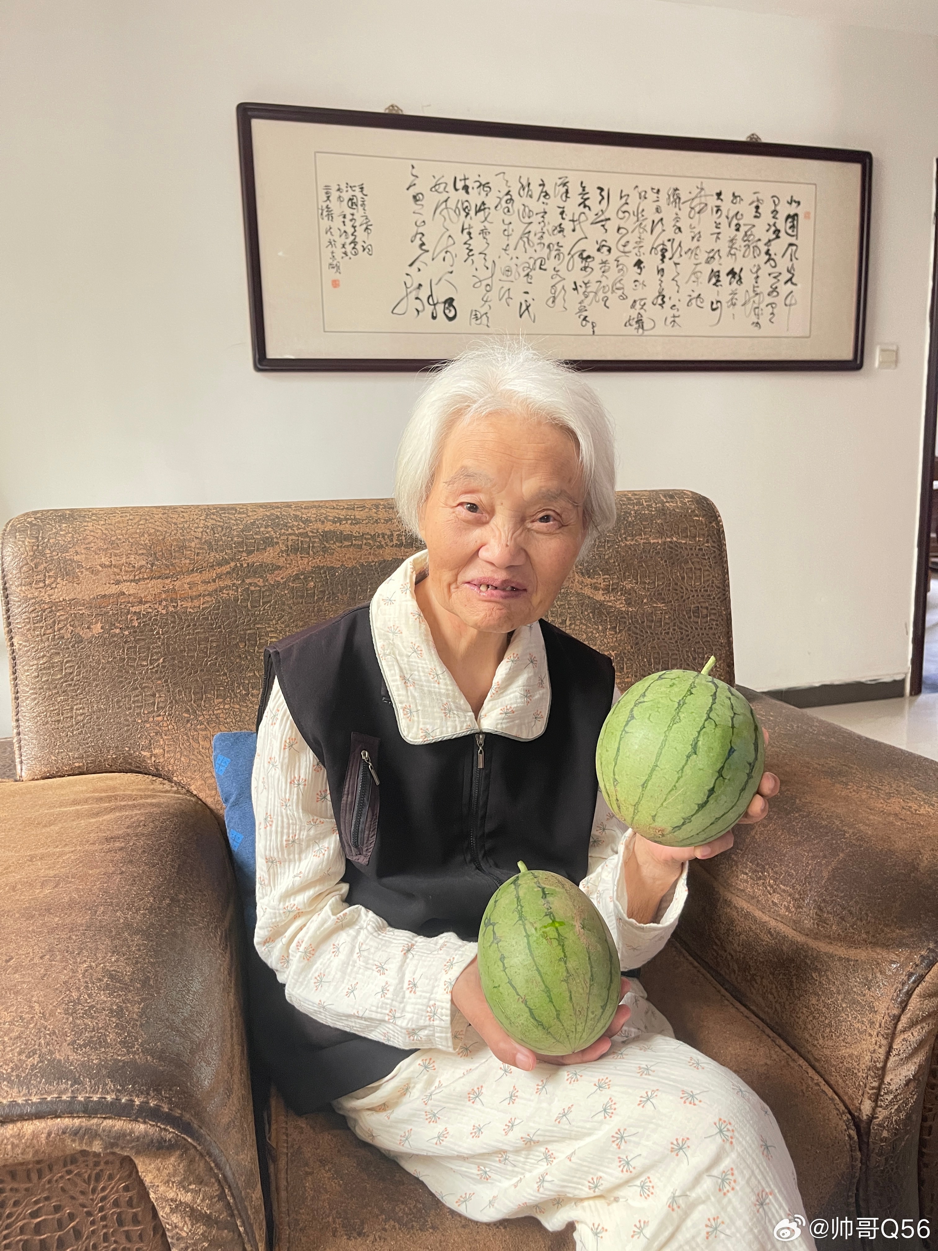 天空彩二四六，水果奶奶的免费资料大揭秘