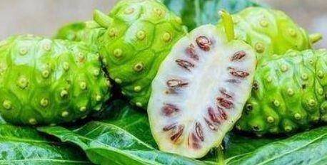 澳门水果奶奶，新资料与最新消息揭秘