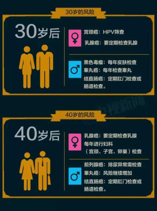 水果奶奶的2048年最新标准，正版资料与健康生活的完美融合