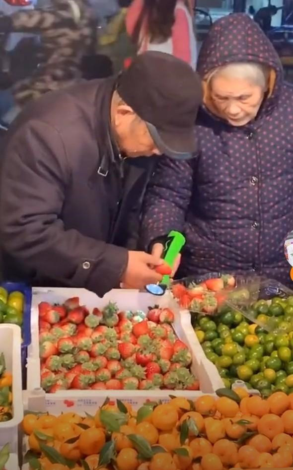 水果奶奶正版免费资料，特点与优势解析