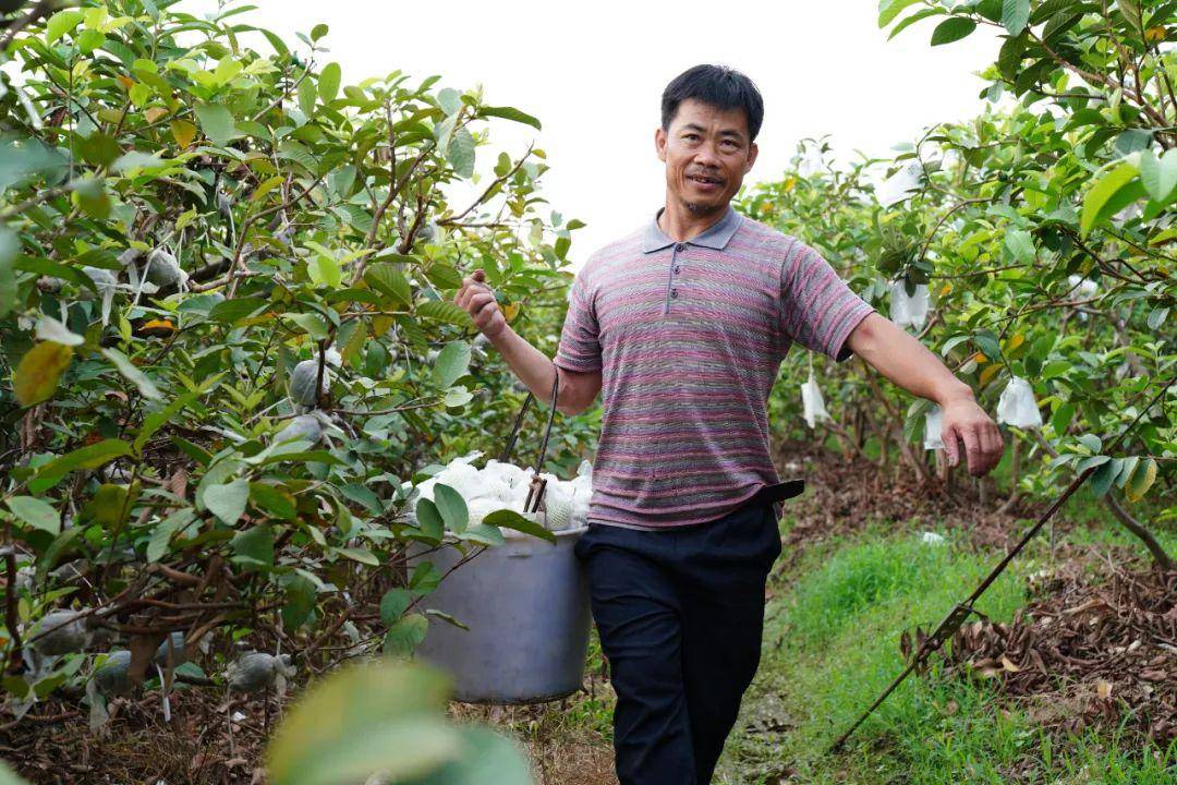 水果奶奶高手主论坛，汇聚果界智慧，共享种植乐趣的官方平台