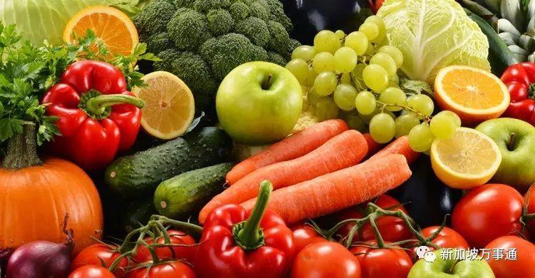 水果奶奶的高手公式最新免费版发布，解锁健康饮食新境界