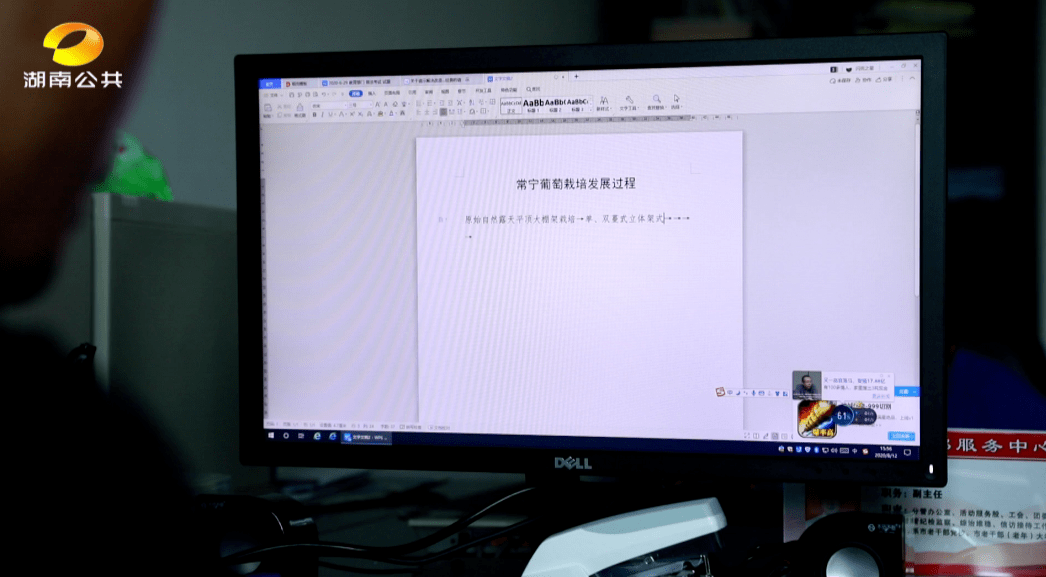 澳门水果奶奶35万粉丝的最新动态，传承与创新并进的甜蜜故事